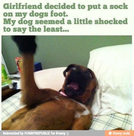 Girlfriend decided to put a sock
on my
dogs foot.
My dog seemed
a little shocked
to say the least...