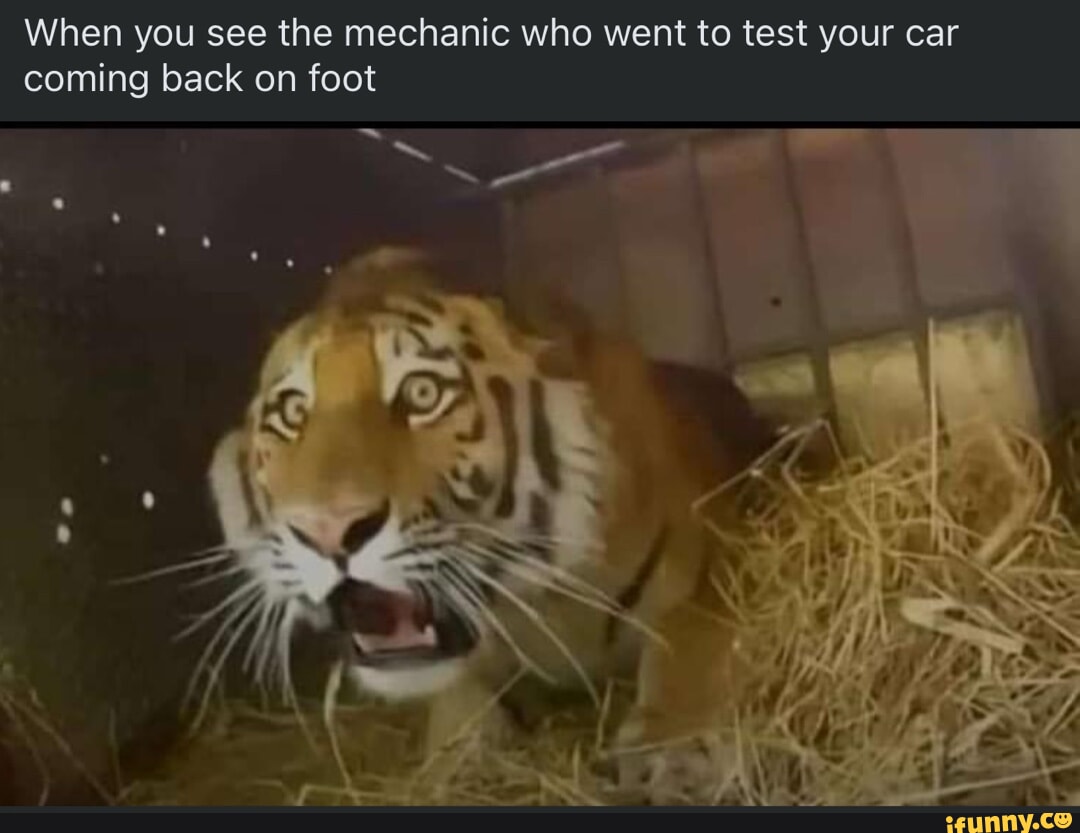 When you see the mechanic who went to test your car coming back on foot ...