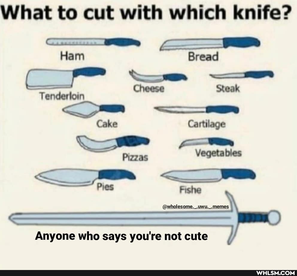 What to cut with which knife?
ll
Ham Bread rr Ss.
Cheese Steak
Tenderloin cc."~--------__
Cake Cartilage
Pizzas Vegetables
Pres Fishe
memes
Anyone who says you're not cute