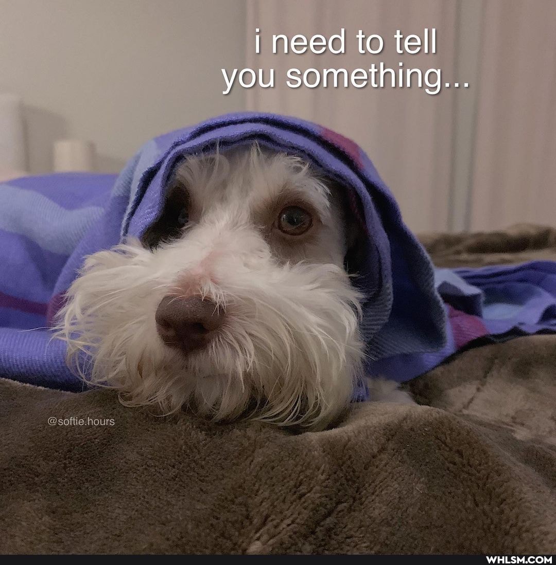 I need to tell
hours
you something...