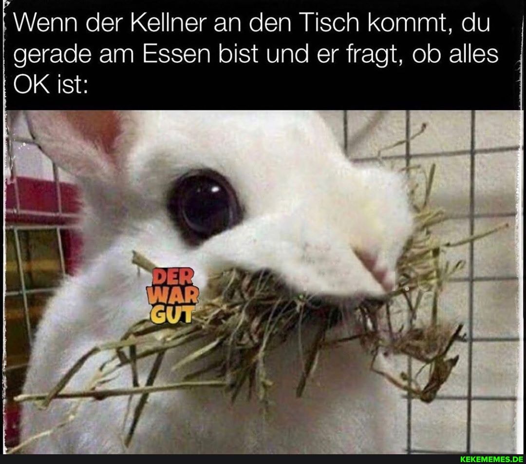 I Wenn der Kellner an den Tisch kommt, du gerade am Essen bist und er fragt, ob alles
OK ist:
DER