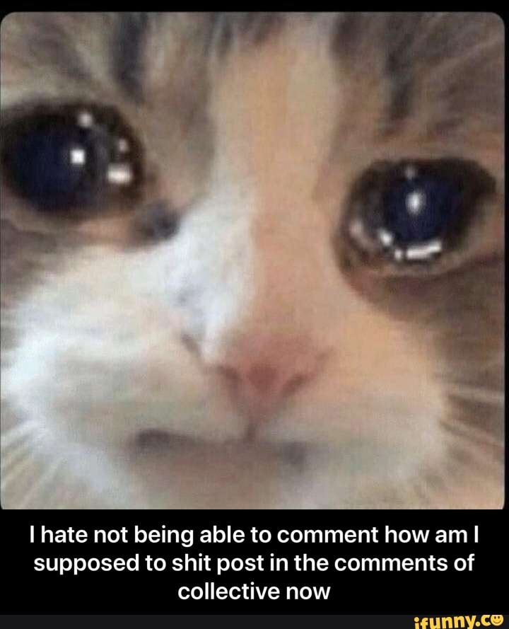 I hate not being able to comment how am!
supposed to shit post in the comments of
collective now - I hate not being able to comment how am I supposed to shit post in the comments of collective now