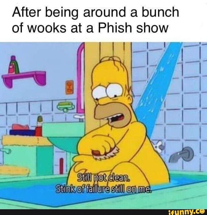 After being around a bunch of wooks at a Phish show