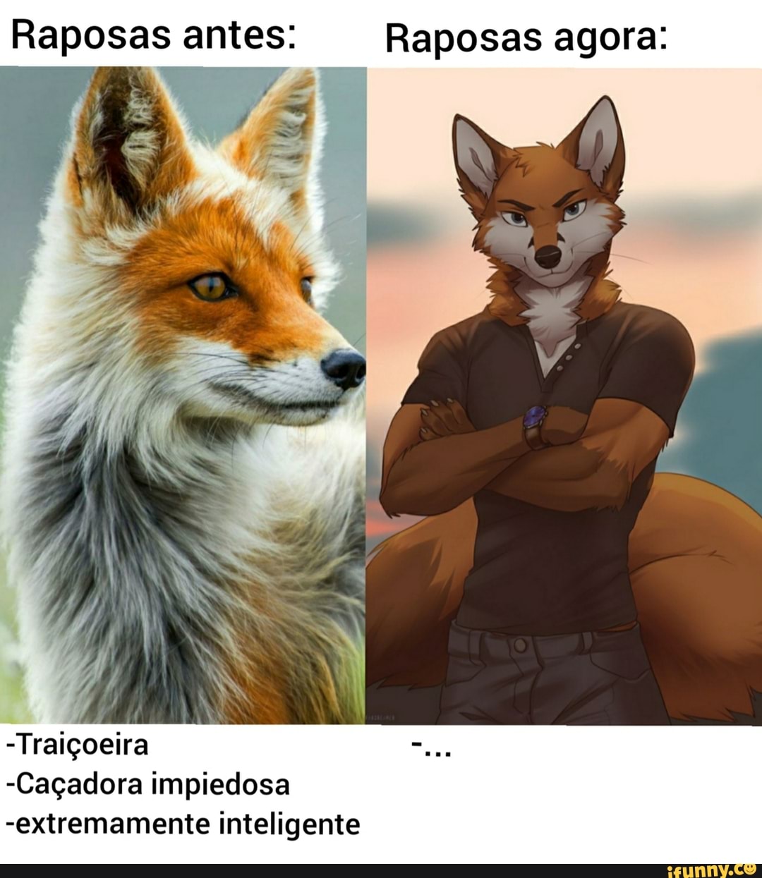 Raposas antes: Raposas agora:
-Traiçoeira
-Caçadora impiedosa
-extremamente inteligente