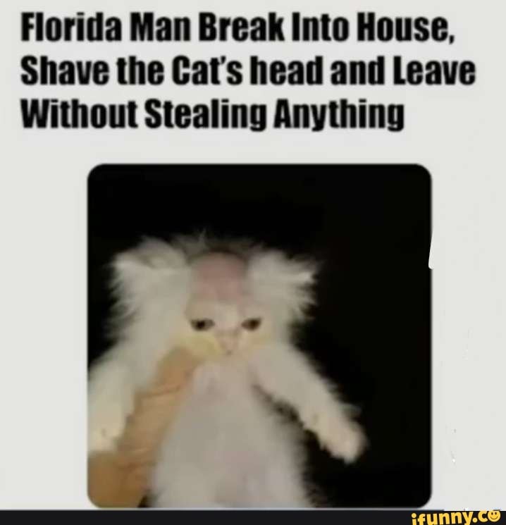 Florida Man Break Into House, Shave the Cat's head and Leave Without