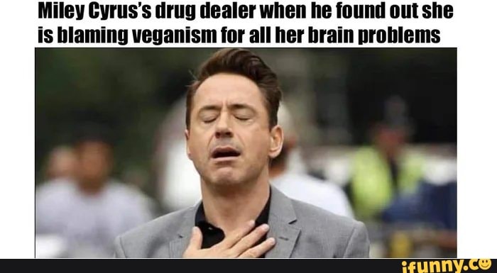 Miley Cyrus's drug dealer when he found out she is blaming veganism for all her brain problems
