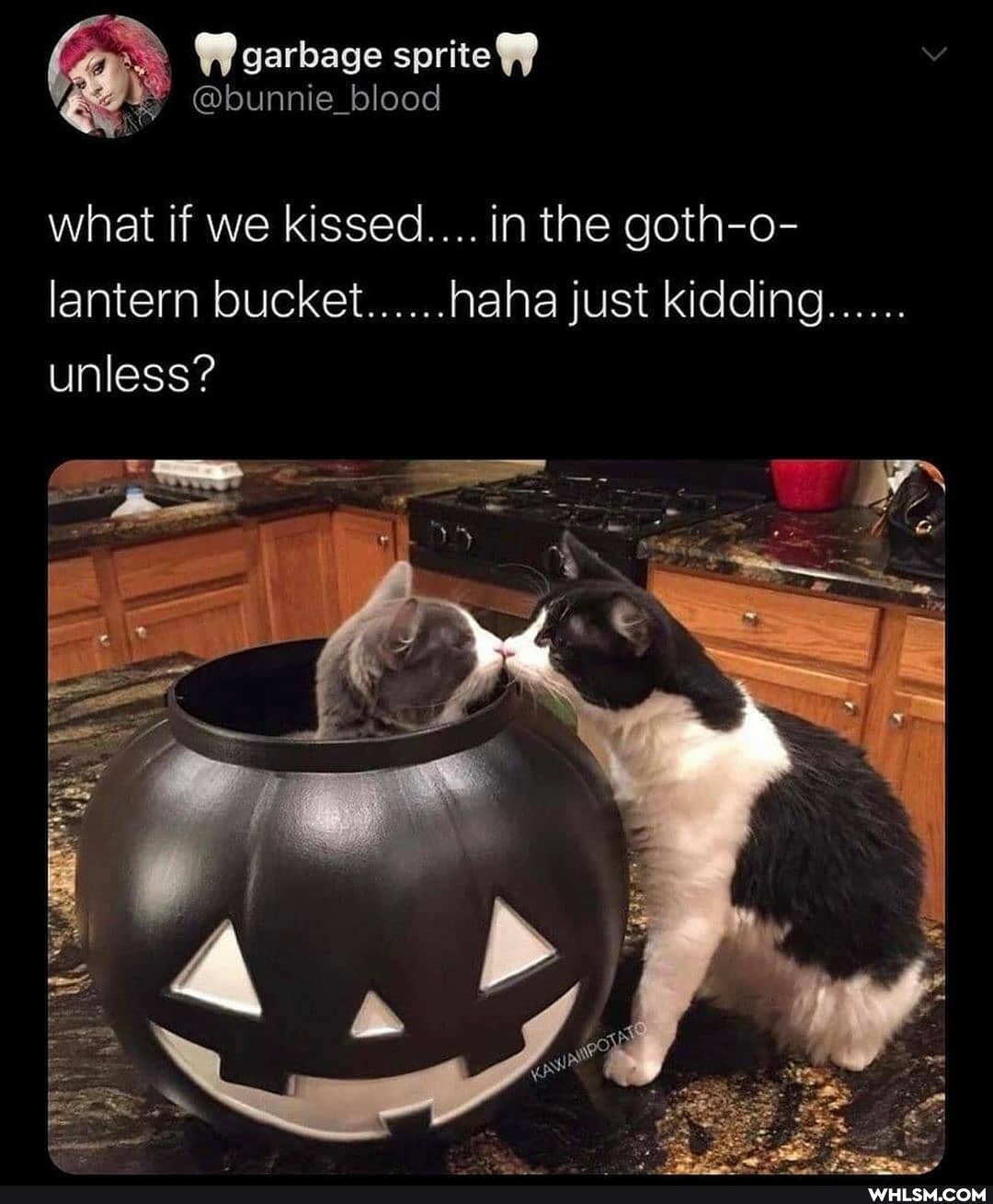 garbage sprite
@bunn
ie_blood
what if we kissed.... in the goth-o- lantern bucket..... just kidding......
unless?