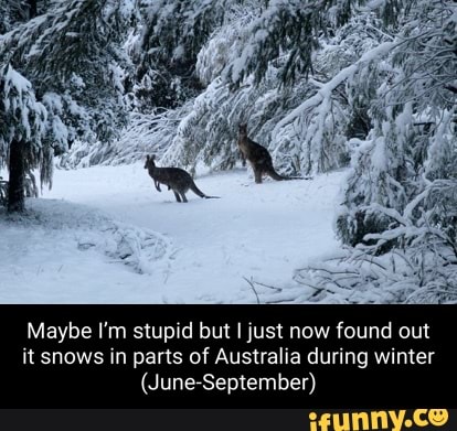 Maybe I'm stupid but I just now found out it snows in parts of Australia during winter
(June-September)