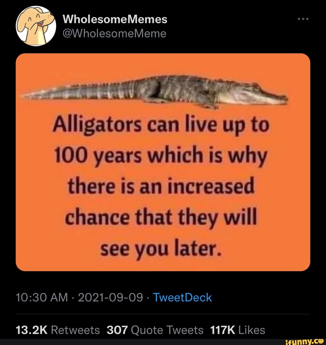 WholesomeMemes WholesomeMeme Alligators can live up to 100 years which