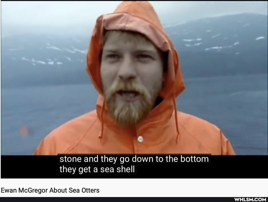 stone and they go down to the bottom they get a sea shell
Ewan McGreaor About Sea Otters