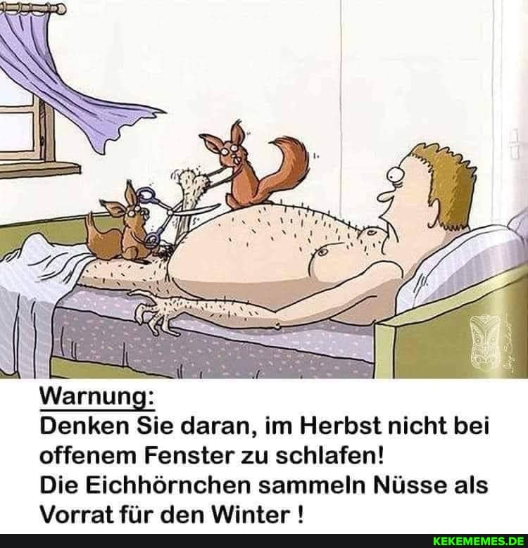 Warnung:
Denken Sie daran, im Herbst nicht bei offenem Fenster zu schlafen!
Die Eichhörnchen sammeln Nüsse als
Ynrrat fiir lan Wintar