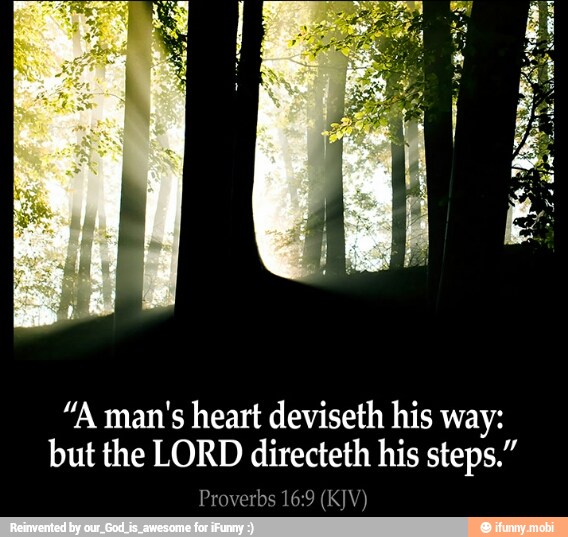 "A man's heart deviseth his way:
but the LORD directeth his steps."
Proverbs 16:9 (KJV)