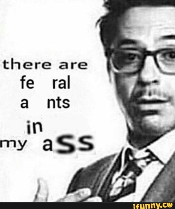 there are fe ral a nts
in my aSS