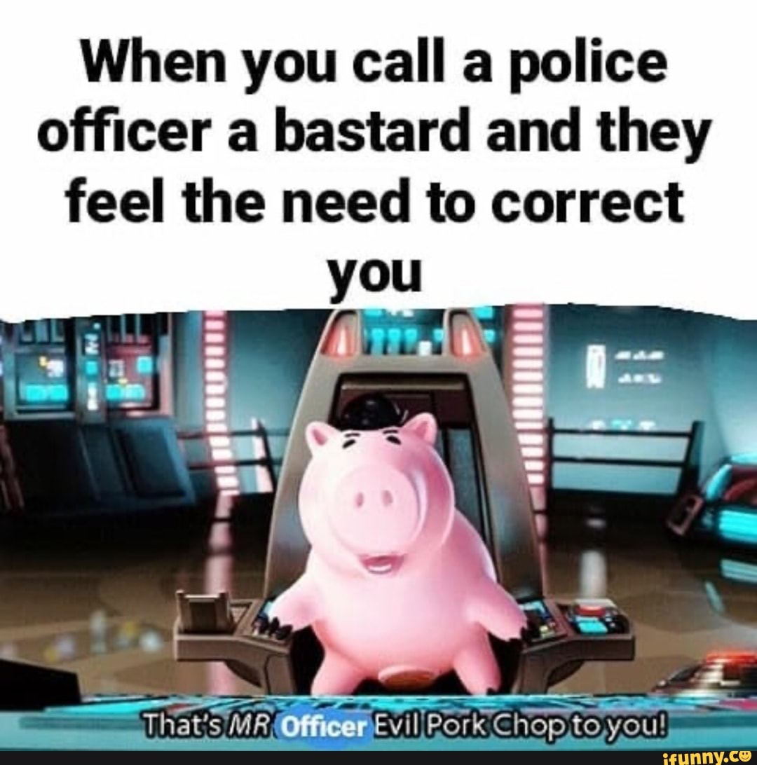 When you call a police
officer a bastard and they
feel the need to correct