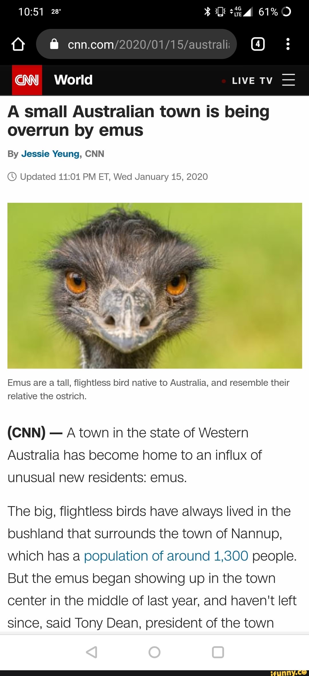 A small Australian town is being
overrun by emus
By Jessie Yeung, CNN
© Updated 11:01 PM ET, Wed January 15, 2020
Emus are a tall, flightless bird native to Australia, and resemble their
relative the ostrich.
A town in the state of Western
Australia has become home to an influx of
unusual new residents: emus.
The big, flightless birds have always lived in the
bushland that surrounds the town of Nannup,
which has a population of around 1,300 people.
But the emus began showing up in the town
center in the middle of last year, and haven't left