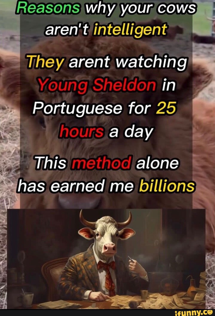 Reasons why your, Cows aren't intelligent They arent watching young Sh