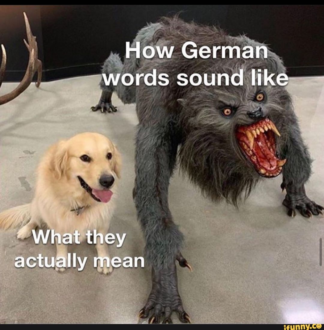 how-german-words-sound-like-6-what-they-actually-mean-ifunny