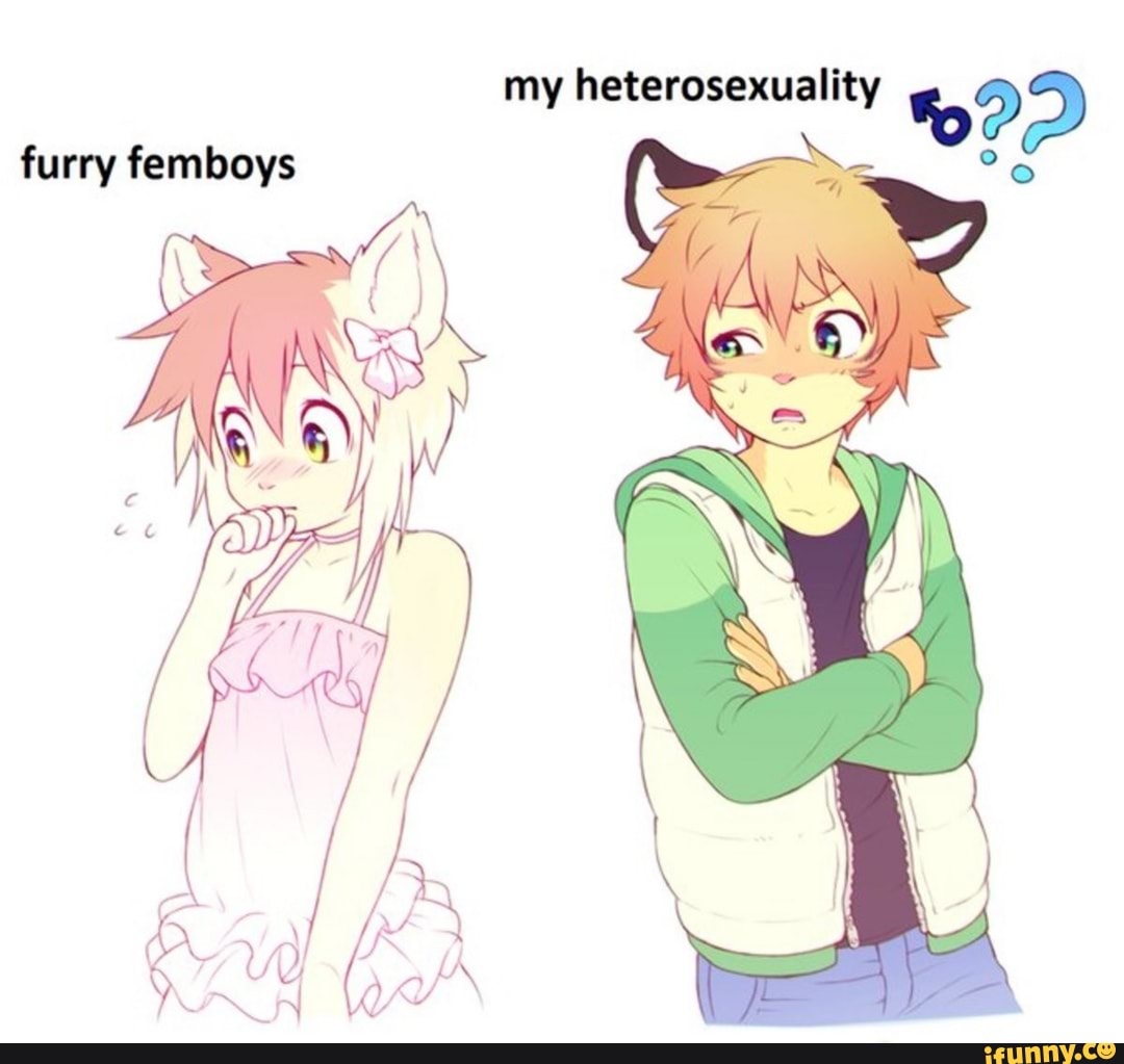 Furry femboy memes