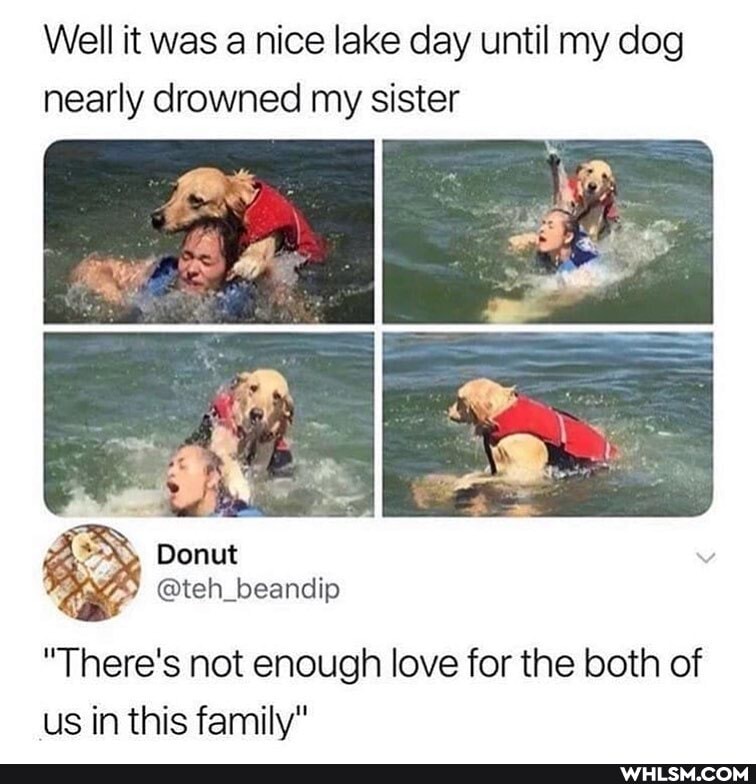 Well it was a nice lake day until my dog nearly drowned my sister
Donut
@teh_beandip
"There's not enough love for the both of us in this family"
