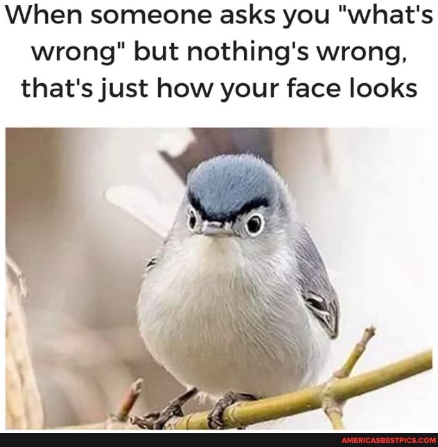 When someone asks you "what's wrong" but nothing's wrong, that's just how your face looks
