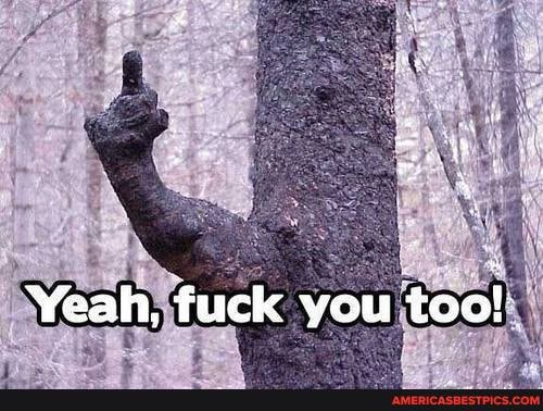 Yeah, fuck you too!