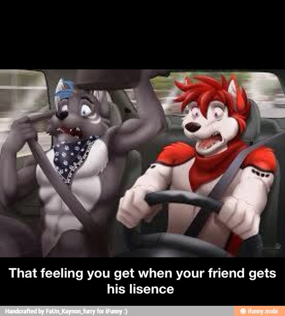 That feeling you get when your friend gets
his lisence - That feeling you get when your friend gets his lisence