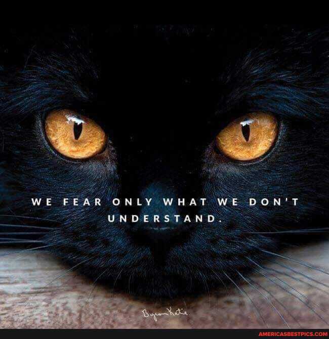 WE FEAR ONLY WHAT WE DON'T UNDERSTAND.