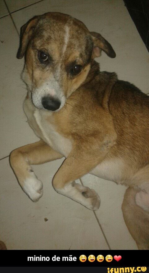 minino de mae @O OOH - minino de mãe 😅😅😅😅❤