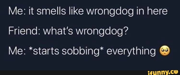 Me: it smells like wrongdog in here
Friend: what's wrongdog?
Me: *starts sobbing* everything O