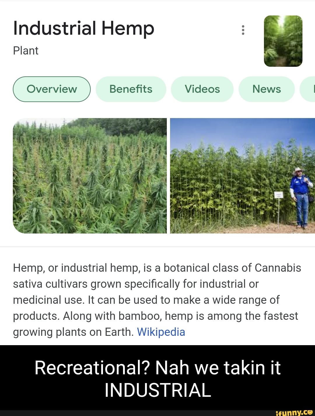 Industrial Hemp Plant Overview Benefits Videos News Hemp, or industrial
