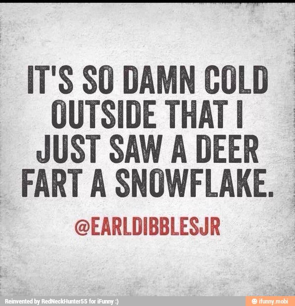 IT'S SO DAMN
COLD
OUTSIDE THAT! JUST SAW A DEER
I
FART A SNOWFLAKE.
@EARLDIBBLESJR