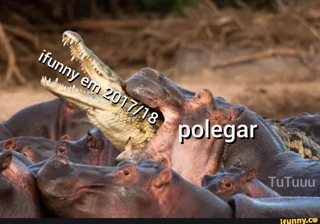 polegar, ifunny, 2017, 2018, pau, pinto