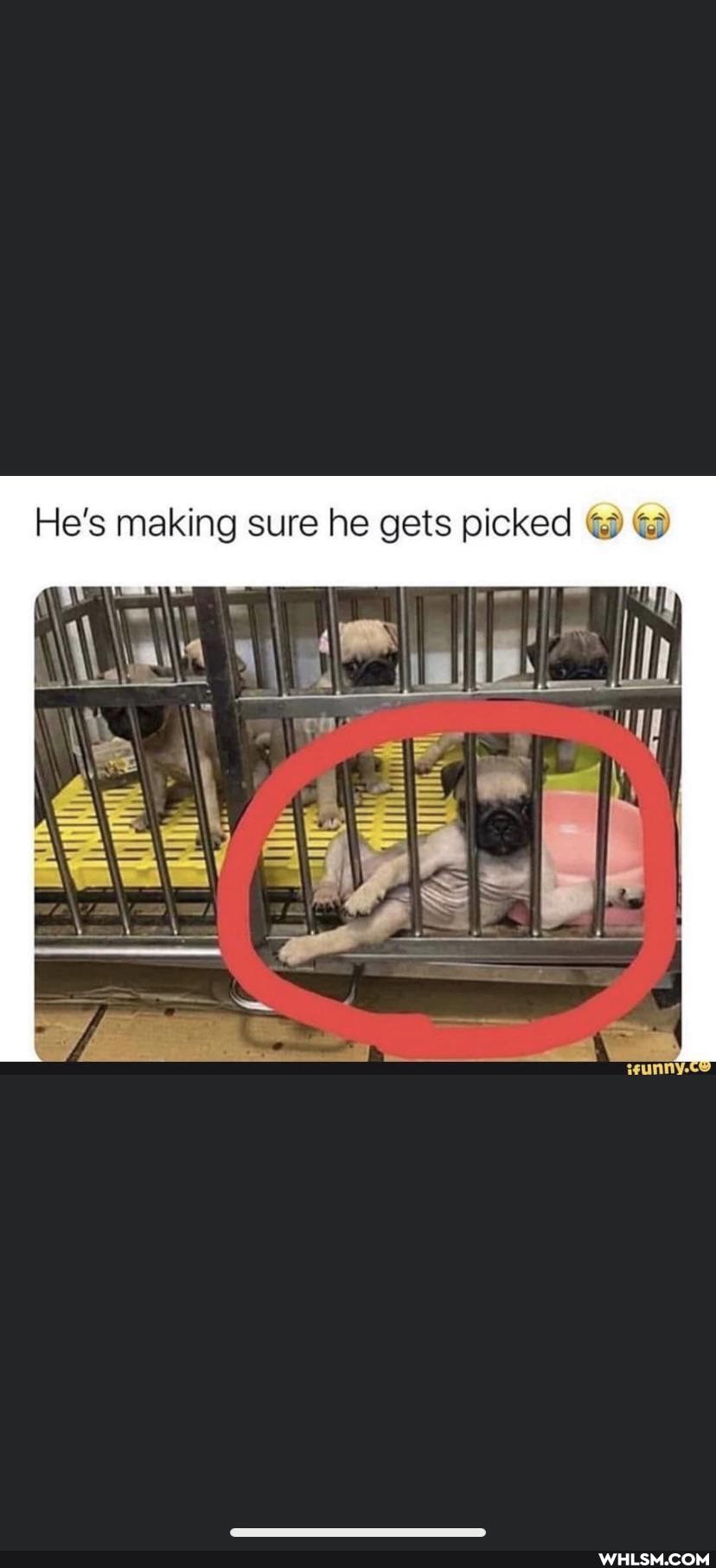 He's making sure he gets picked