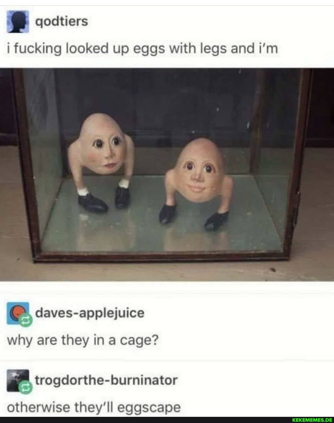 qodtiers
fucking looked up eggs with legs and i'm
why are they in a cage?
trogcorthe-burninator
thaw ll