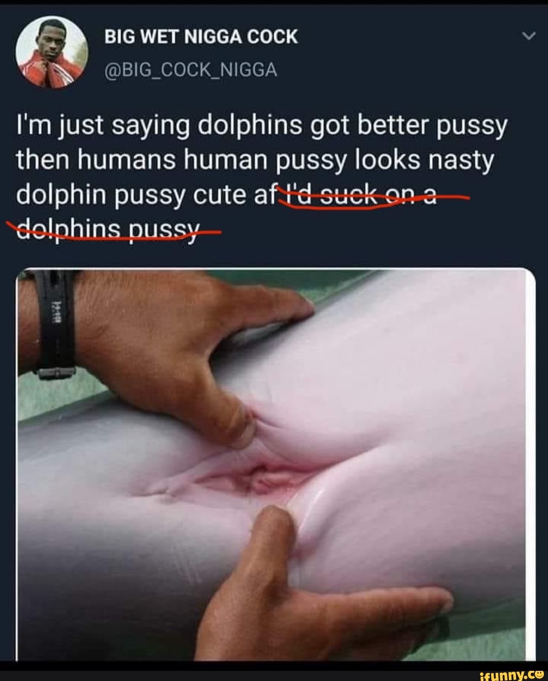 сколько длится оргазм у дельфина фото 85