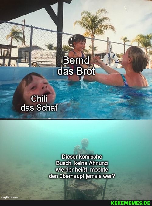 Bernd das Brot Chili das Schaf Dieser komische, Busch, keine Ahnung wie der heißt. mochte den