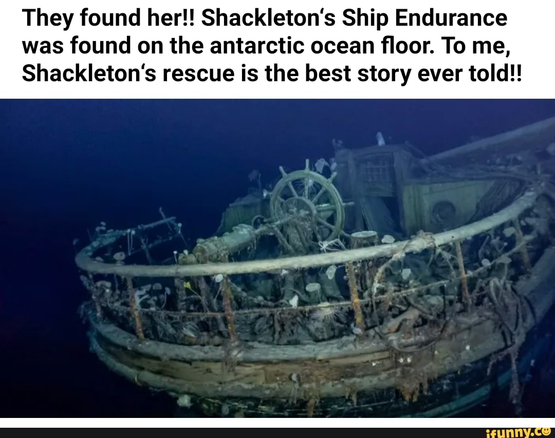 Shackletons memes. Best Collection of funny Shackletons pictures on iFunny