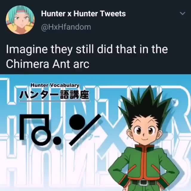 Imagine They Still Did That In The Chimera Ant Arc Hunter Vocabulary