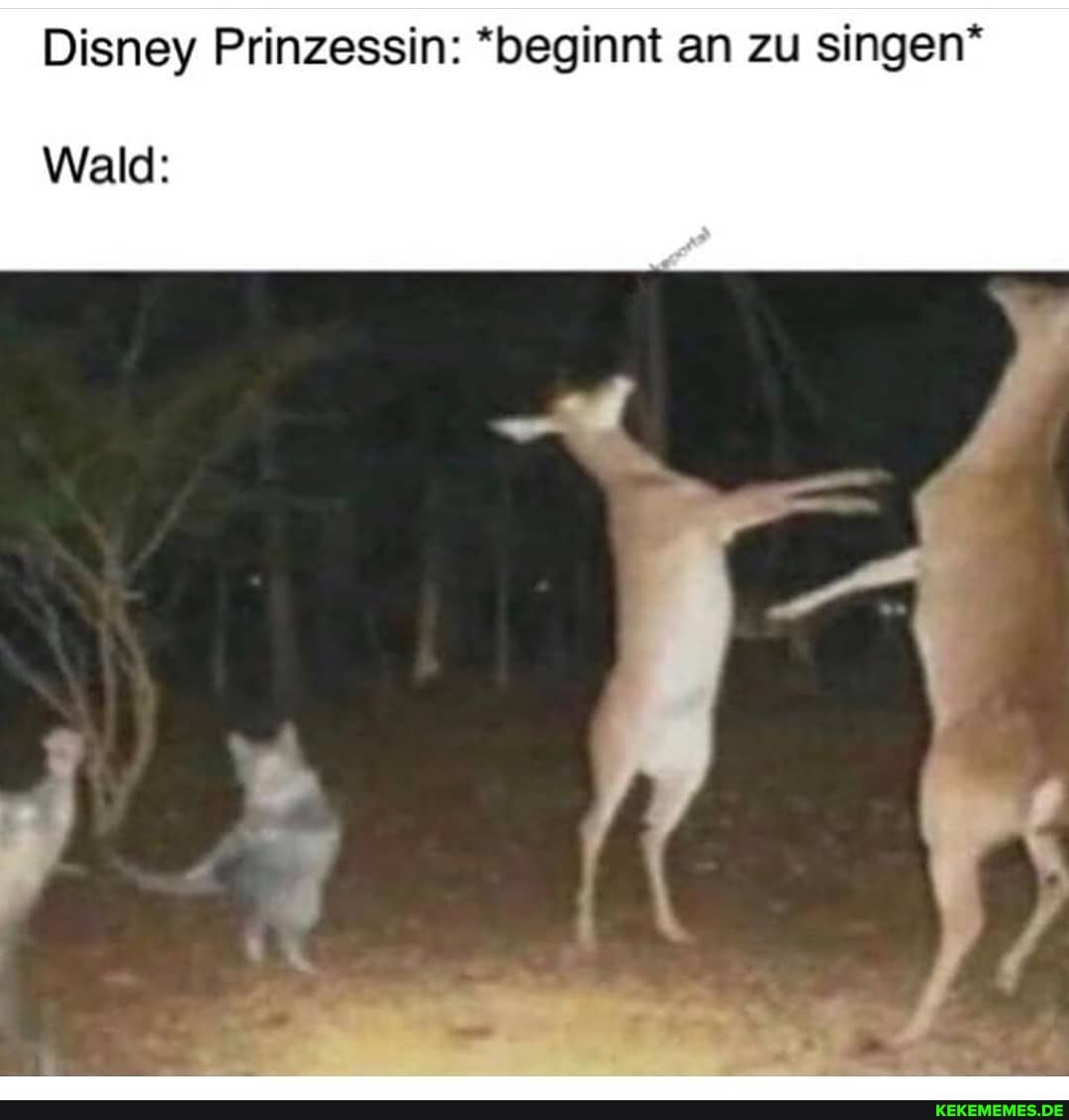 Disney Prinzessin: *beginnt an zu singen*
Wald: