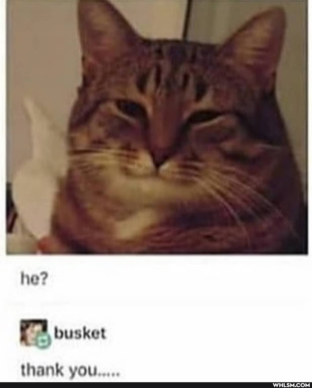he?
busket