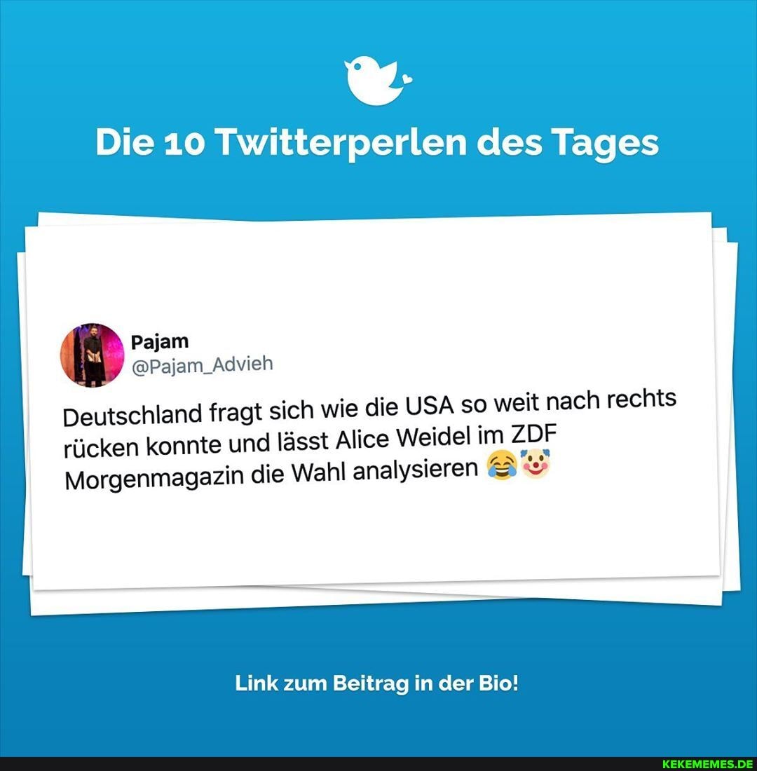 Die 10 Twitterperlen des Tages
I Deutschland fragt sich wie die USA so weit nach rechts
rücken konnte und lässt Alice Weidel im ZDF
Pajam
@Pajam_Advieh
Morgenmagazin die Wahl analysieren
Link zum Beitrag in der Bio!