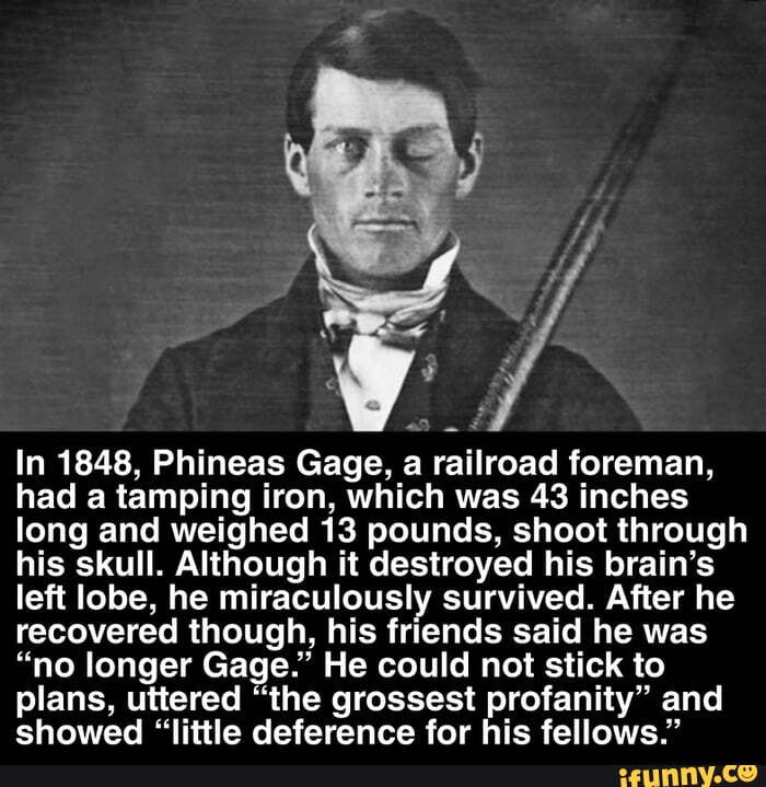 In 1848, Phineas Gage, a railroad foreman, had a tamping iron, which ...