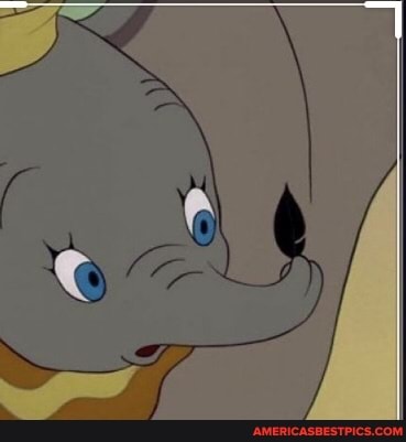 cartoons, funny_animal, disney_world