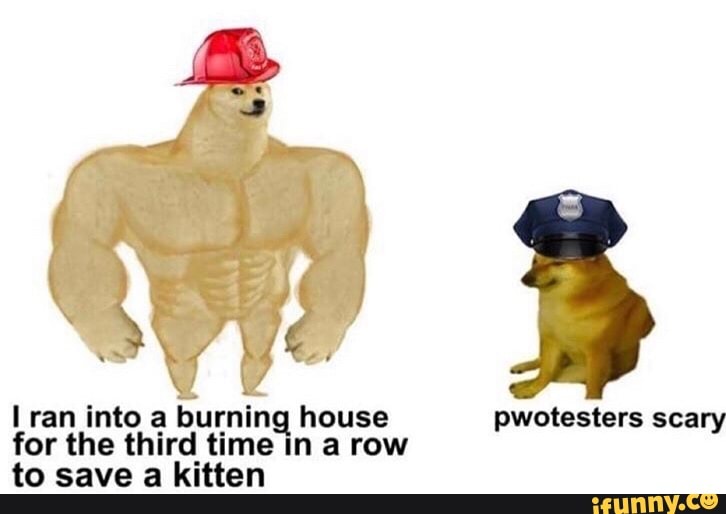 Lran into a burning house
for the third time in a row
to save a kitten
pwotesters scary