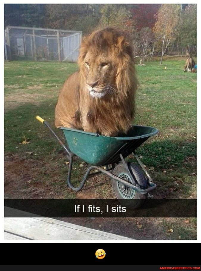 Wy
IF I fits, I sits - đŸ¤£
