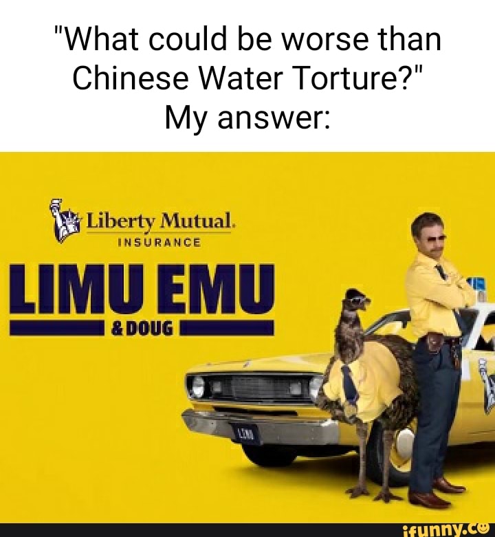 Limu memes Best Collection of funny Limu pictures on iFunny