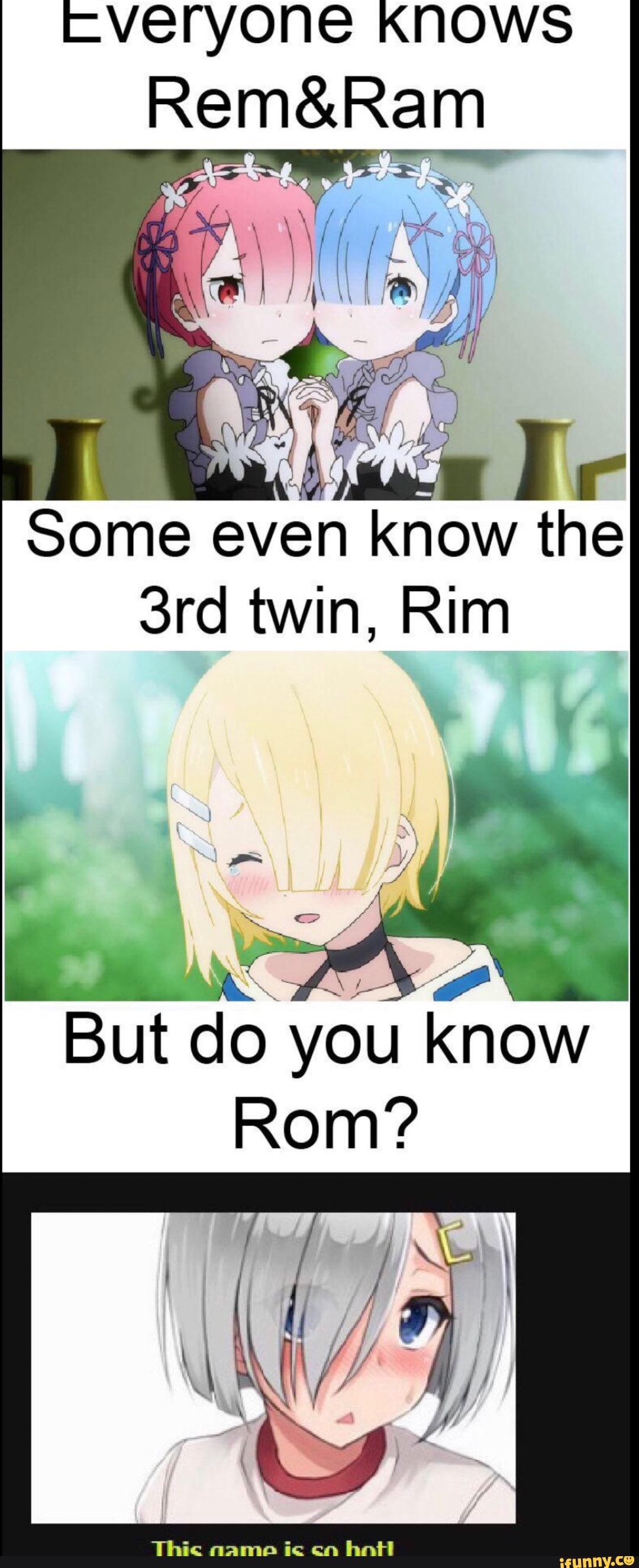 Iveryone Knows Rem&Ram Some even know the 3rd twin, Rim iFunny