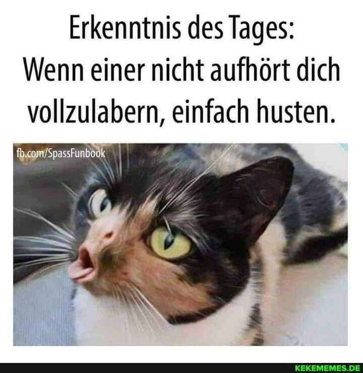 Erkenntnis des Tages:
Wenn einer nicht aufhört dich vollzulabern, einfach husten.