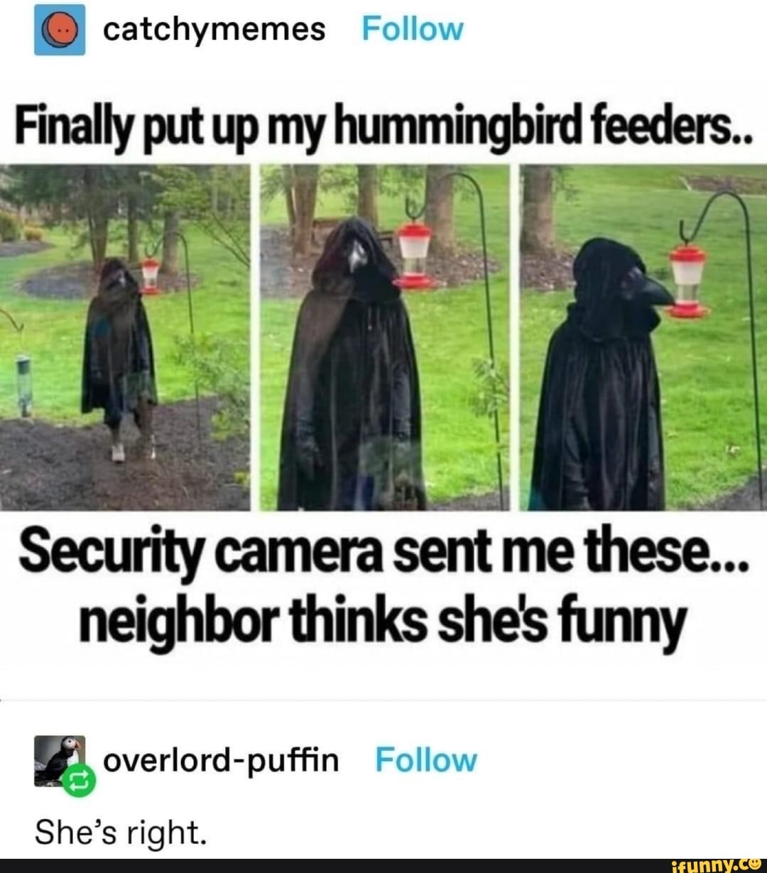 @ catchymemes Follow
Finally put up my hummingbird feeders.
Security camera sent me these...
neighbor thinks she's funny
overlord-puffin Follow
She's right.