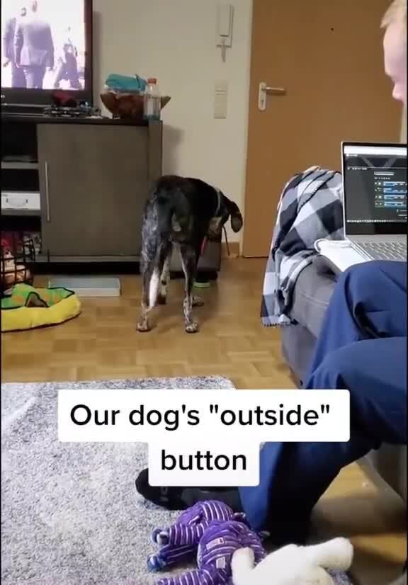Our dog's "outside" button
